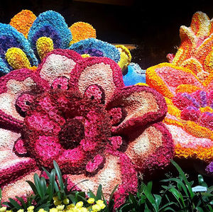 Meet your Posher, Ashlyn